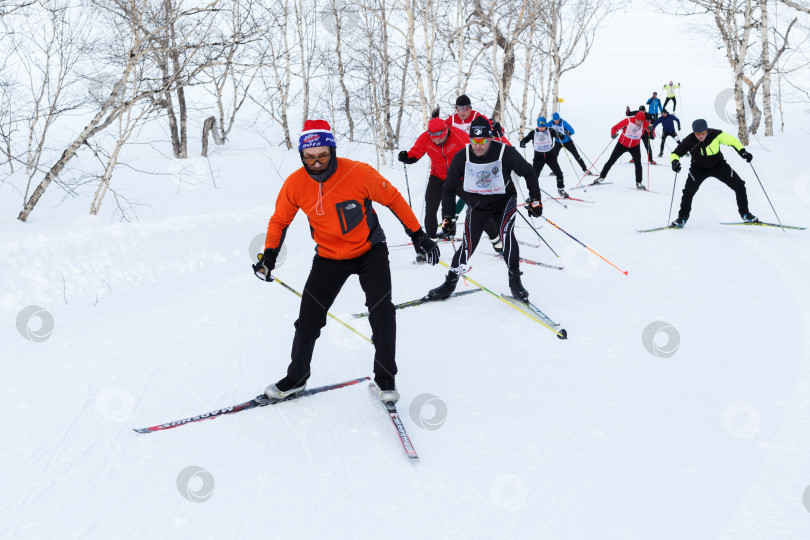 Скачать Лыжники бегут по лыжне в зимнем лесу. Всероссийская массовая лыжная гонка - Лыжня России фотосток Ozero