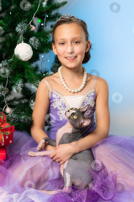 Скачать Девочка 9 лет в фиолетовом платье с породистым котом-сфинксом на руках сидит возле рождественской елки в канун Нового года. фотосток Ozero