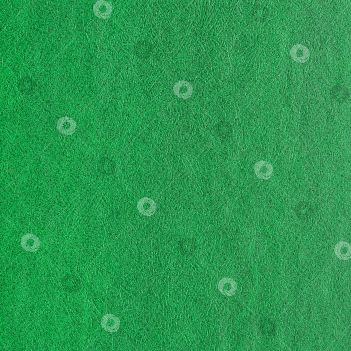 Скачать Абстрактная текстура зеленого цвета для фона. Крупный план рисунка декоративного материала для дизайна фотосток Ozero