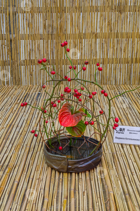 Скачать Икебана - ветки шиповника с плодами и цветы антуриума в вазе. фотосток Ozero