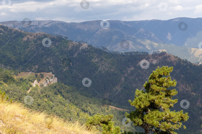 Скачать Вид на Ялтинскую яйлу с Узенбашской тропы. фотосток Ozero