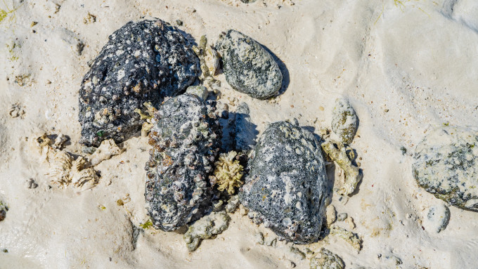 [object Object] undefined