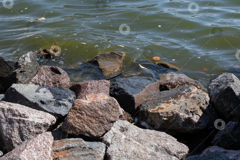Скачать Большие серые камни на берегу с волнами фотосток Ozero