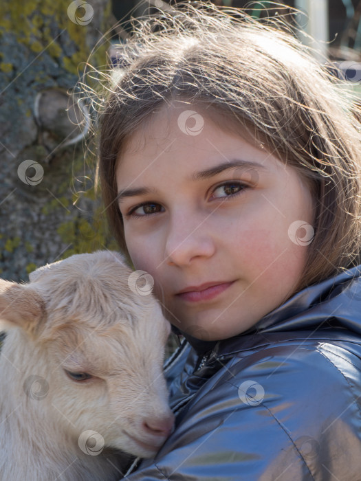 Скачать Девочка с козленочком. Портрет красивой девочки-подростка, смотрящей в камеру с козленочком на руках фотосток Ozero