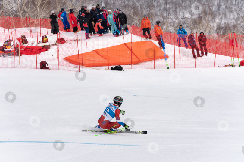 Скачать Горнолыжник спускается по склону горы. Чемпионат России по горнолыжному спорту, гигантский слалом фотосток Ozero