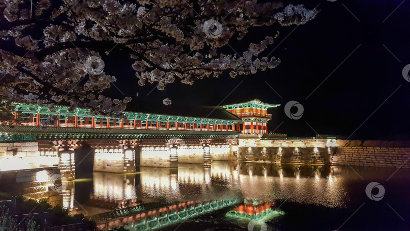 Скачать Весенняя ночь в Южной Корее, город Кёнджу фотосток Ozero