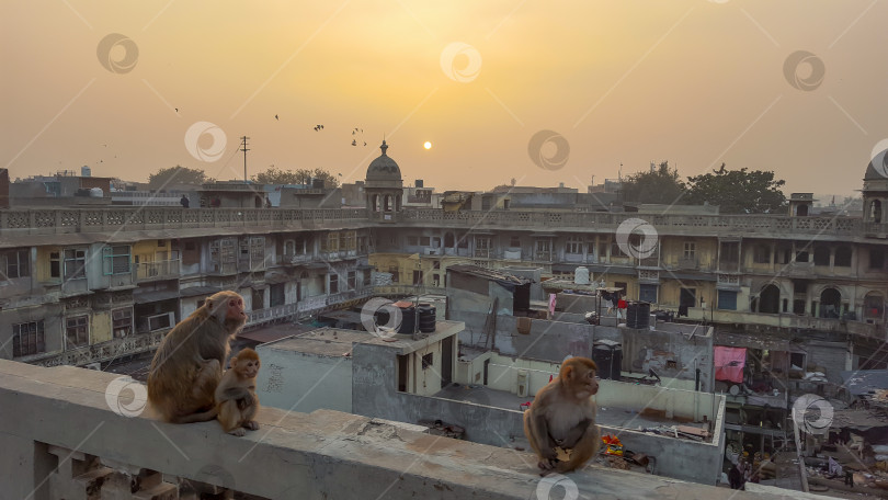 Скачать Город Дели на закате солнца, Индия фотосток Ozero