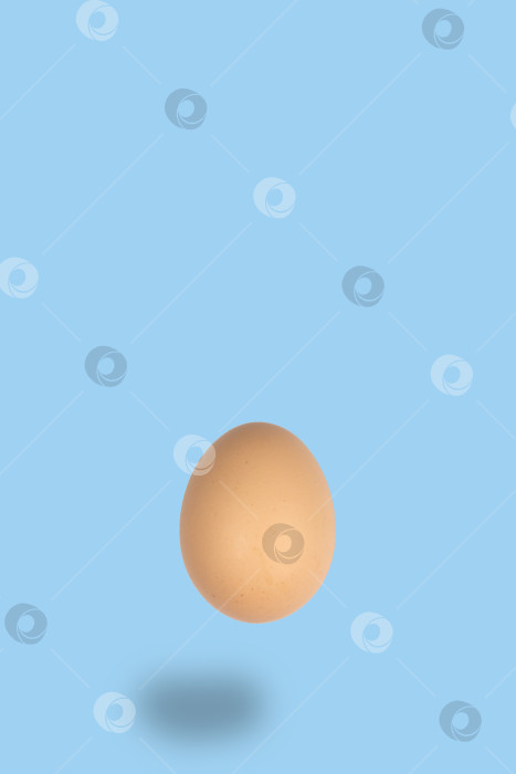 Скачать Летающее коричневое яйцо на светло-голубом фоне фотосток Ozero