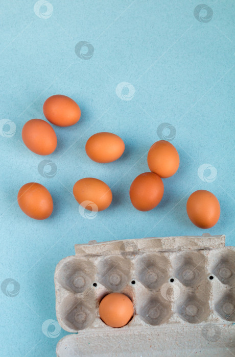 Скачать группа коричневых куриных яиц на светло-голубом фоне фотосток Ozero