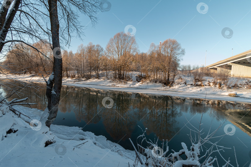 Скачать замерзшие деревья на озере в зимний солнечный день фотосток Ozero