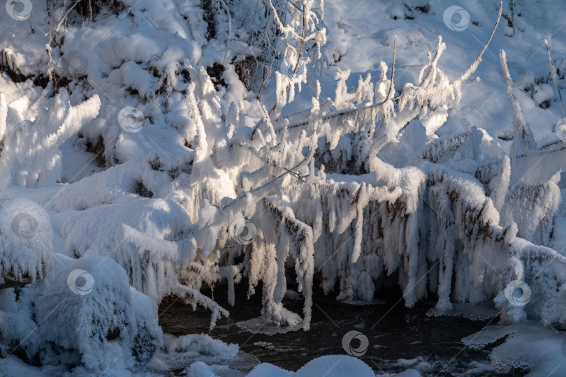 Скачать заснеженный фон замерзших деревьев, зимний сезон фотосток Ozero