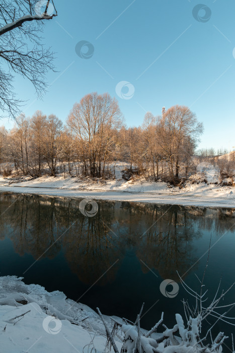 Скачать замерзшие деревья на озере в зимний солнечный день фотосток Ozero