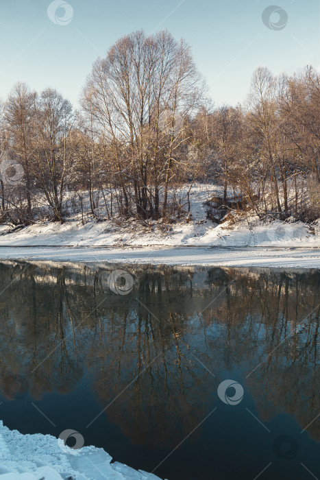 Скачать пейзаж с деревьями в снегу, солнечная холодная погода фотосток Ozero