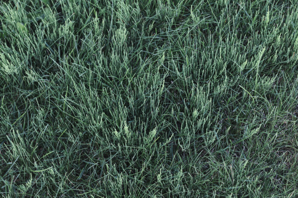 [object Object] undefined