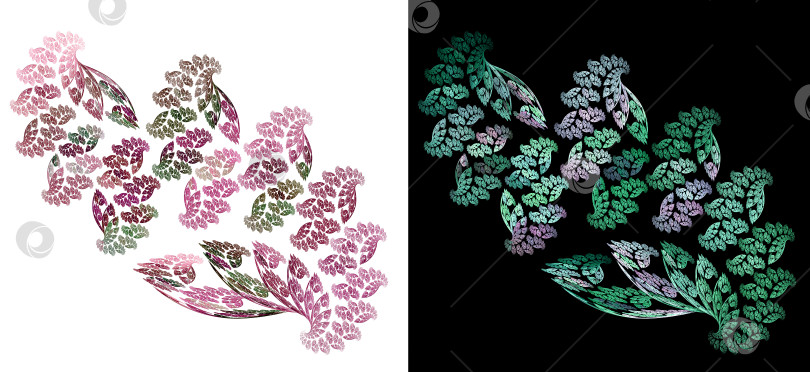 Скачать Набор абстрактных фрактальных красочных растений на черно-белом фоне. Листья создают красивый узор. 3D рендеринг. 3D иллюстрация. фотосток Ozero