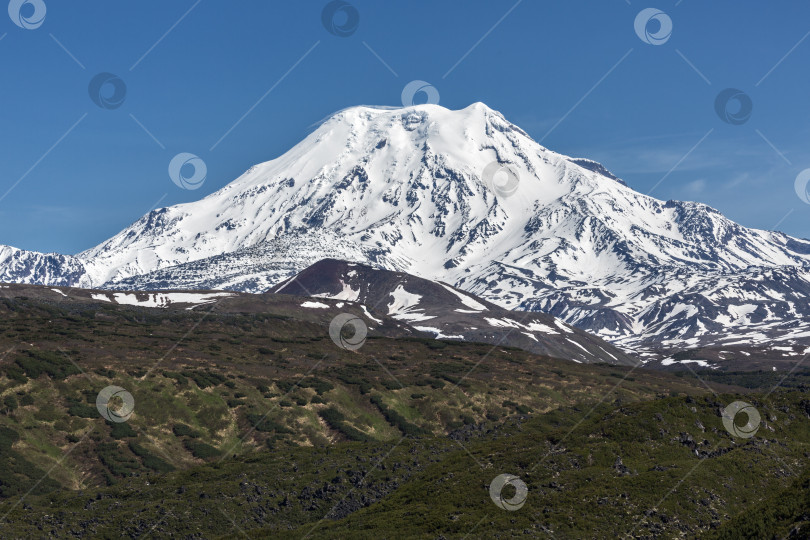 Скачать Горный пейзаж Камчатского вулкана Ичинский фотосток Ozero