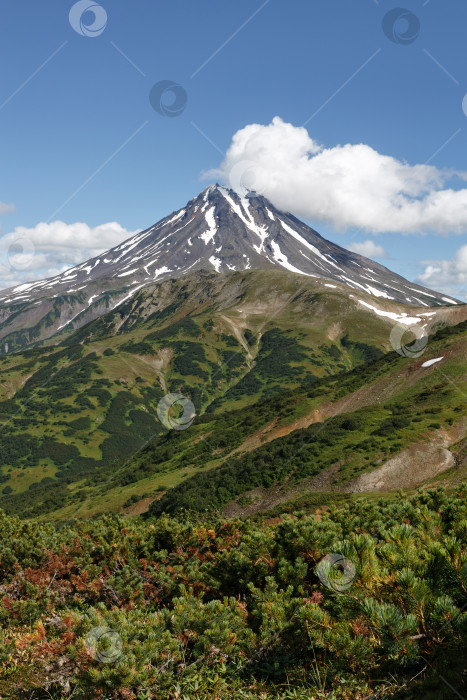 Скачать Пейзаж на Камчатке: живописный вид на Вилючинский вулкан фотосток Ozero