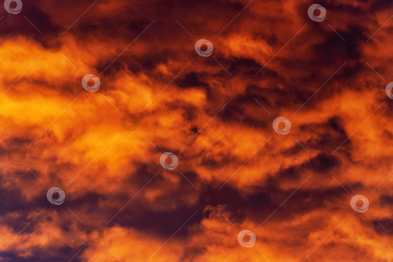 Скачать Золотые облака на закате плывут по фиолетовым грозовым тучам в небе фотосток Ozero
