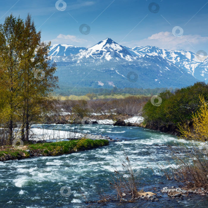 Скачать Живописный вид на весеннюю бурную горную реку на полуострове Камчатка фотосток Ozero