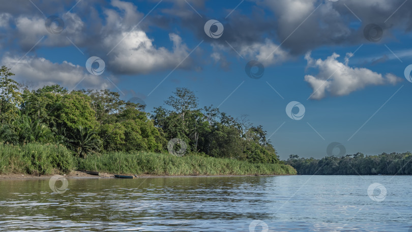 Скачать Спокойная река в тропическом лесу фотосток Ozero