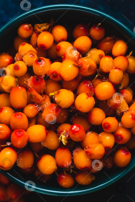 Скачать Замороженные ягоды облепихи в чашке фотосток Ozero