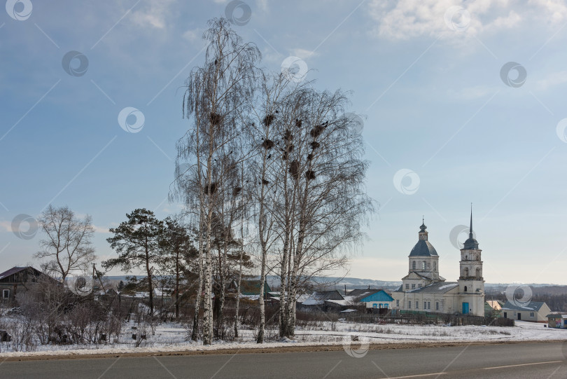 Скачать Грачи прилетели фотосток Ozero