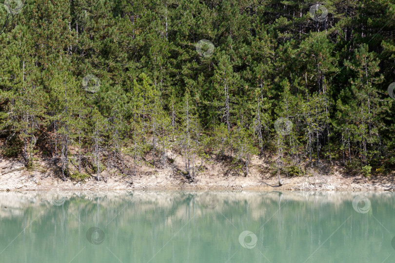 Скачать Бирюзовое озеро, расположенное на склонах горы Ай-Петри фотосток Ozero