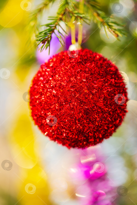 Скачать Крупный план ярко-красного рождественского шара и блестящей мишуры, висящих на ветке елки. Рождественская праздничная композиция для поздравления с Новым годом фотосток Ozero