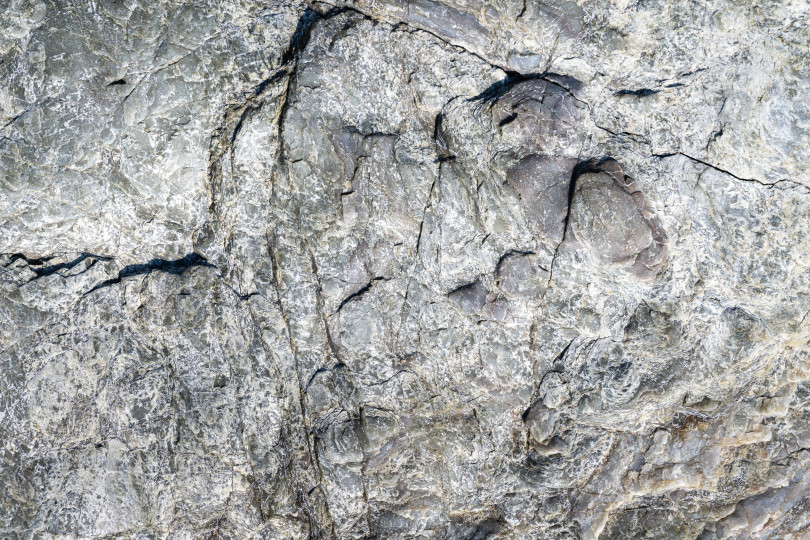 Скачать Макросъемка поверхности серого камня крупным планом. Детализированный фон природы фотосток Ozero