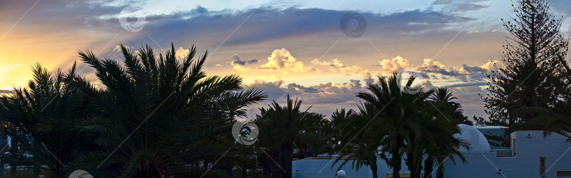 Скачать Закат на острове Джерба. Красивое закатное небо над пальмами и домами Туниса. Отдых на курорте. Панорама. фотосток Ozero