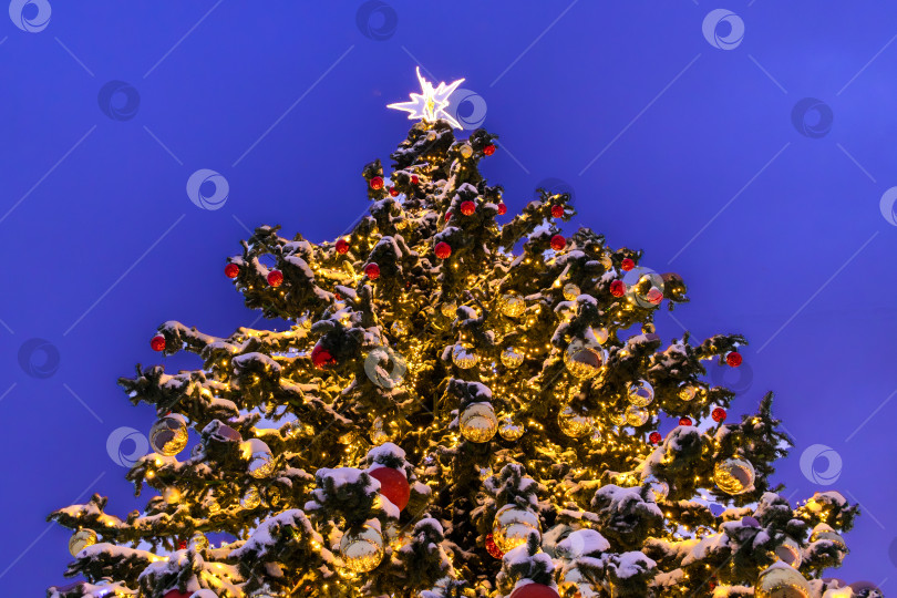 Скачать Рождественская елка со звездой и игрушками на фоне ночного неба, вид снизу. Симметрия фотосток Ozero