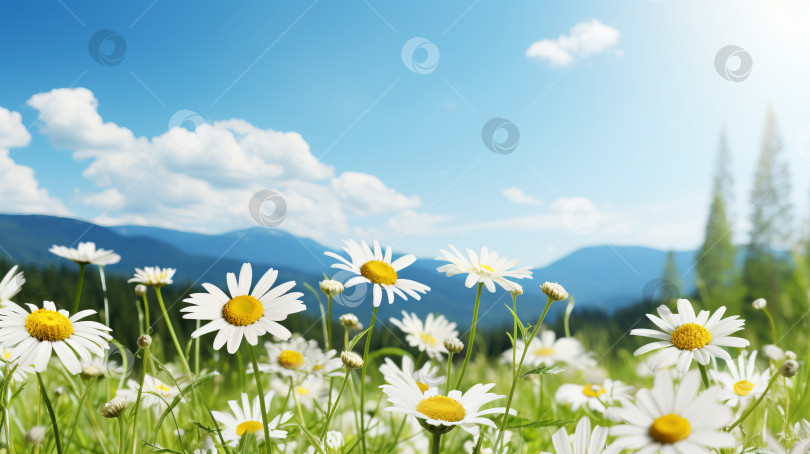 Скачать Чарующий пейзаж. Яркие луга и разноцветные цветы нежились в объятиях теплого Солнца фотосток Ozero