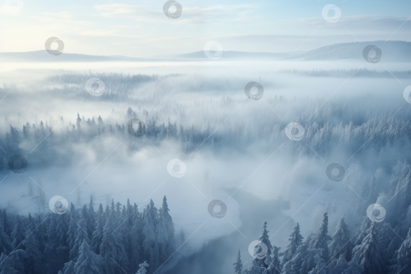 Скачать застывший заснеженный лесной пейзаж с морозной дымкой, вид с высоты птичьего полета фотосток Ozero
