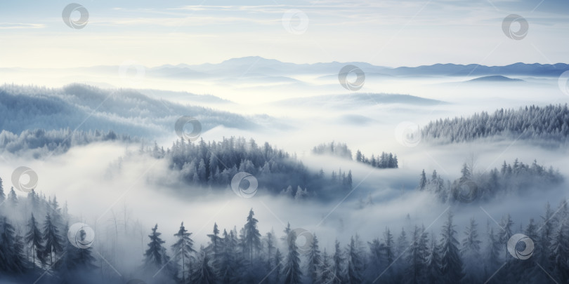 Скачать зимний туманный холмисто-лесистый пейзаж, бореальный лес, заснеженный редколесье, вид с высоты птичьего полета фотосток Ozero