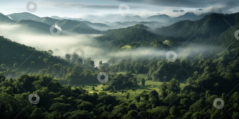 Скачать туманный холмистый природный ландшафт с девственным тропическим лесом фотосток Ozero