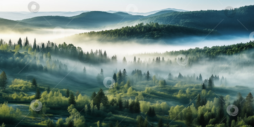Скачать холмистый лесистый пейзаж в романтическом утреннем тумане фотосток Ozero