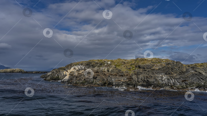 Скачать Колония морских львов отдыхает на склоне скалистого островка. фотосток Ozero