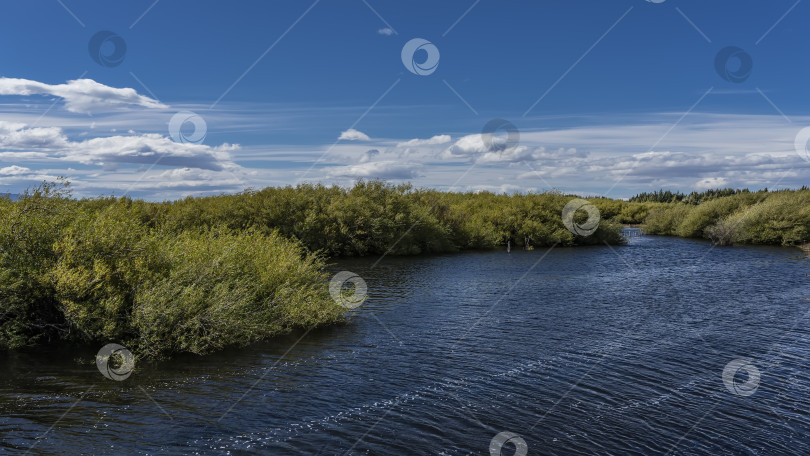 Скачать На берегу голубого озера растут пышные зеленые кусты. фотосток Ozero