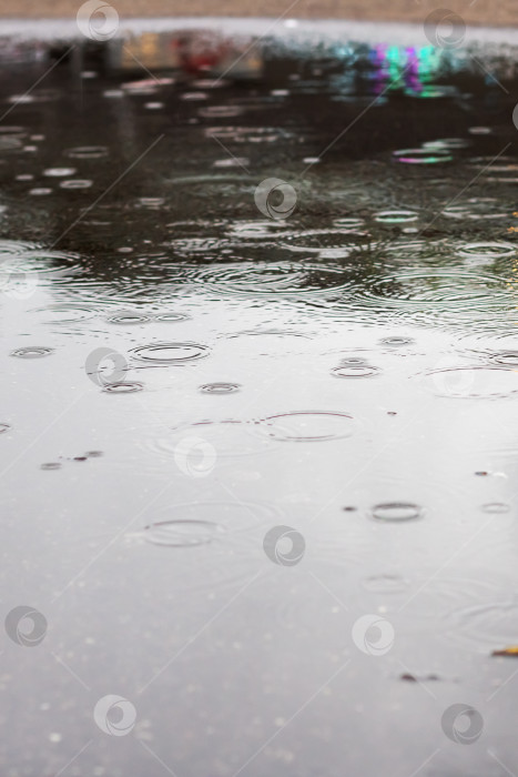 Скачать Капли дождя на городской луже фотосток Ozero