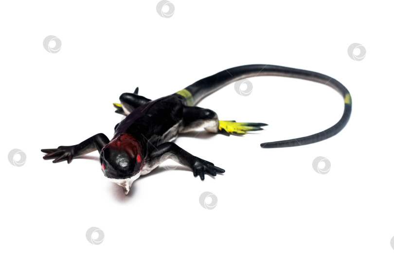 Скачать Игрушечная черная ящерица, выделенная на белом фоне фотосток Ozero