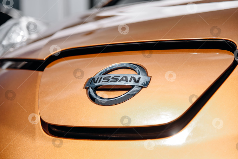 Скачать Логотип Nissan фотосток Ozero