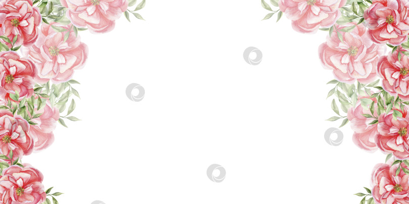 Скачать Акварельный шаблон открытки с розовым пионом. Нарисованные вручную весенне-летние цветы с зелеными листьями в рамке для поздравительной открытки, приглашения, этикетки, дизайна логотипа, цветочного клипарта фотосток Ozero