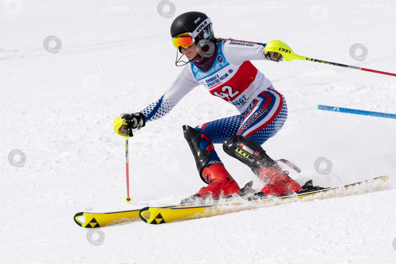 Скачать Горнолыжник, спускающийся по склону горы. Чемпионат России по горнолыжному спорту, слалом фотосток Ozero