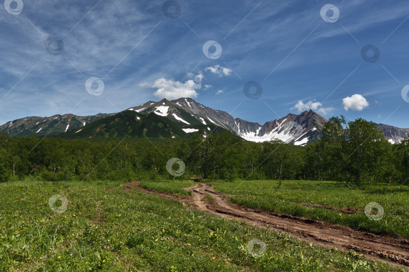 Скачать Лесная дорога в горах полуострова Камчатка фотосток Ozero