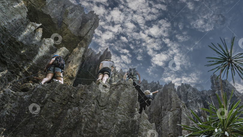 Скачать Группа туристов взбирается на крутые карстовые скалы Цинги-де-Бемараха. фотосток Ozero