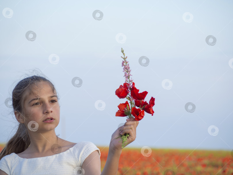 Скачать Портрет девочки-подростка в поле с красными маками фотосток Ozero