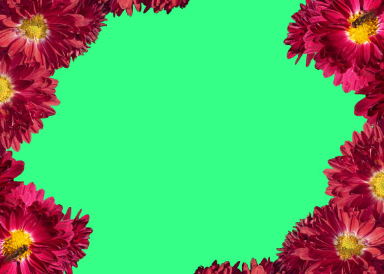 [object Object] undefined