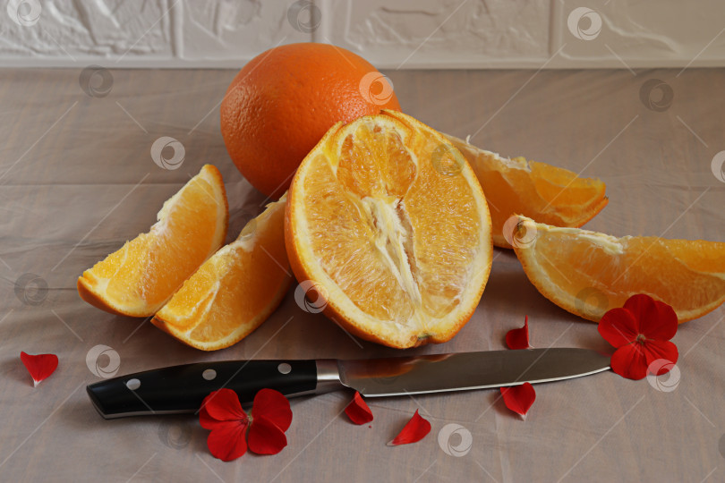 Скачать Апельсины и нож на столе фотосток Ozero