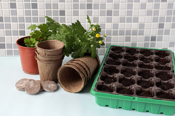 [object Object] undefined