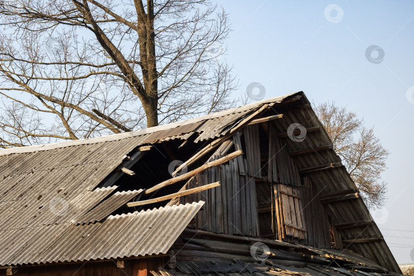 Скачать Крыша старого деревянного полуразрушенного дома среди кустов фотосток Ozero